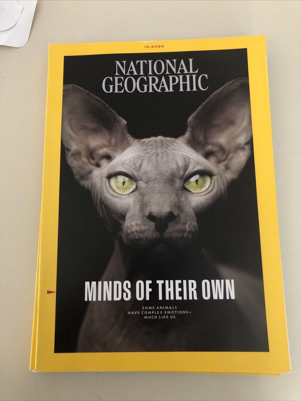NATIONAL GEOGRAPHIC MAGAZINE - OCTOBER 2022 - MINDS OF THEIR OWN - SOME ANIMALS‎